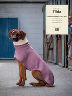 Wollwalkmantel in Mauve an Rhodesian Ridgeback mit Größenangaben
