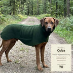 Grüner Wollwalkmantel an Rhodesian Ridgeback mit Größenangaben