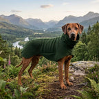 Grüner Wollwalkmantel an Rhodesian Ridgeback, der in einem herbstlichen Gebirge steht