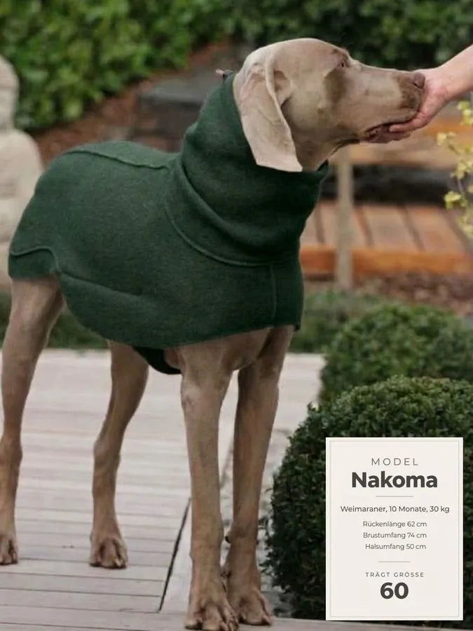 Grüner Wollwalkmantel an Weimaraner mit Größenangaben