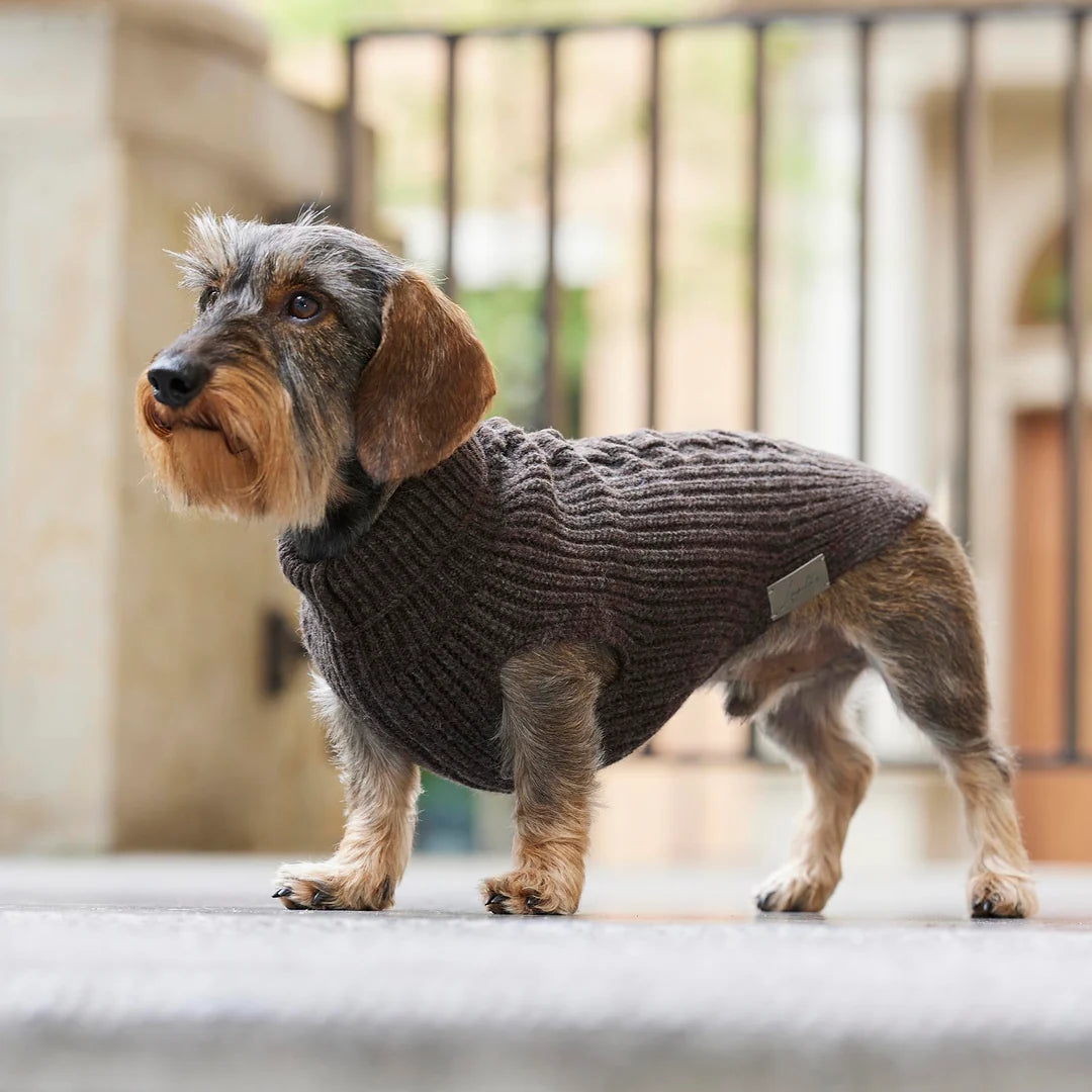 Hundestrickpullover Wolle (Merino)