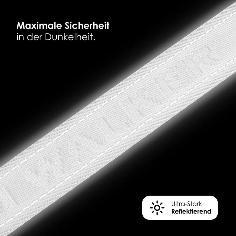 Apex 3-fach Führleine Lunar 2,3 m