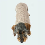 Hundestrickpullover Wolle (Merino)