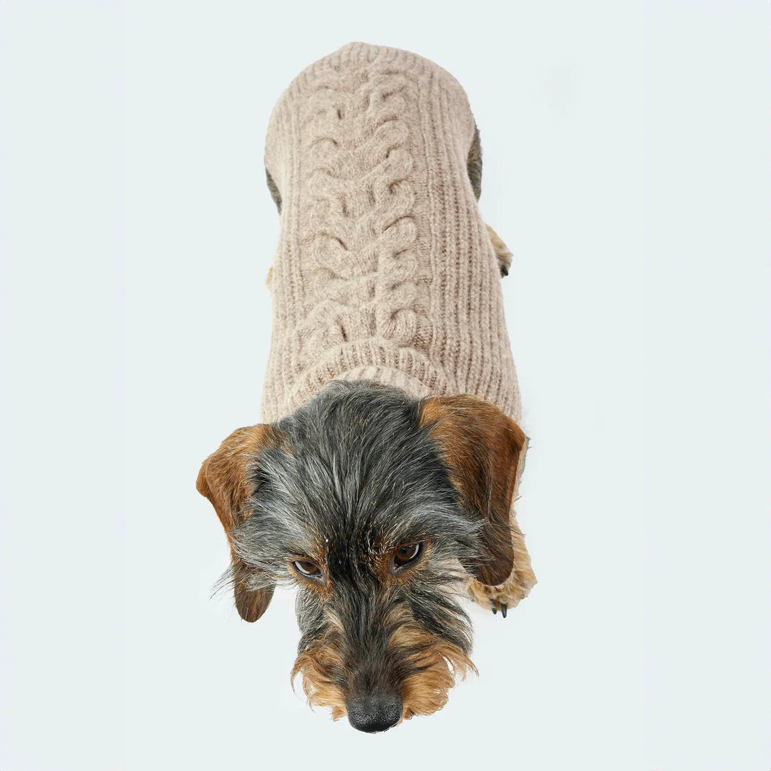 Hundestrickpullover Wolle (Merino)