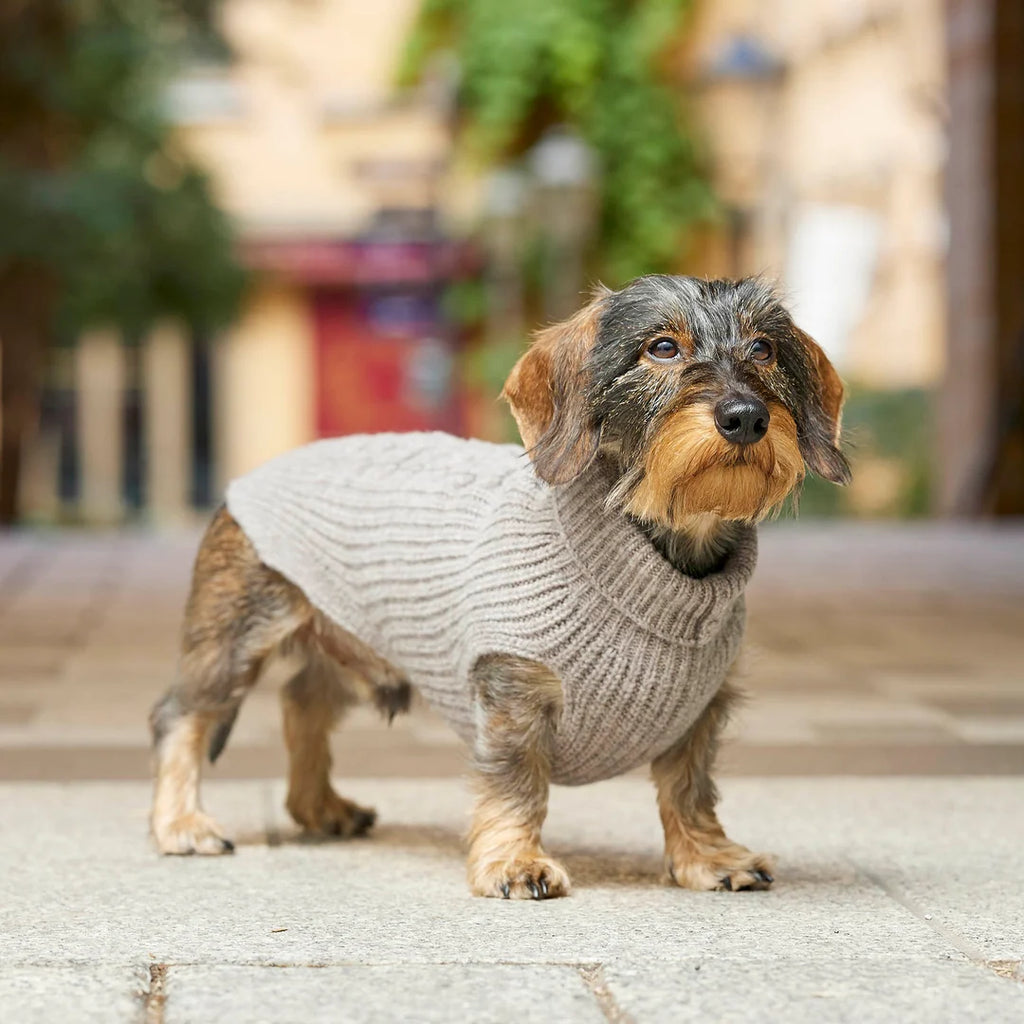 Hundestrickpullover Wolle (Merino)