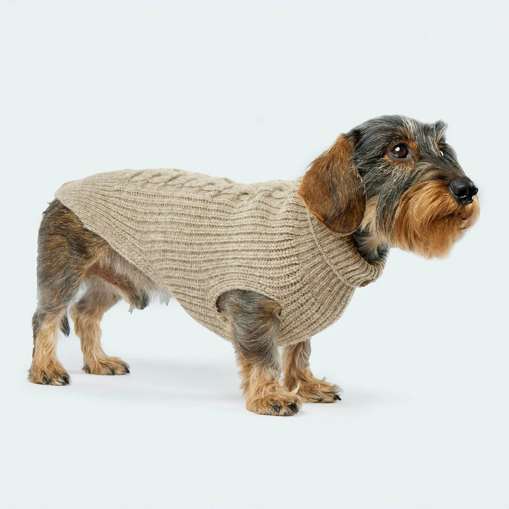 Hundestrickpullover Wolle (Merino)