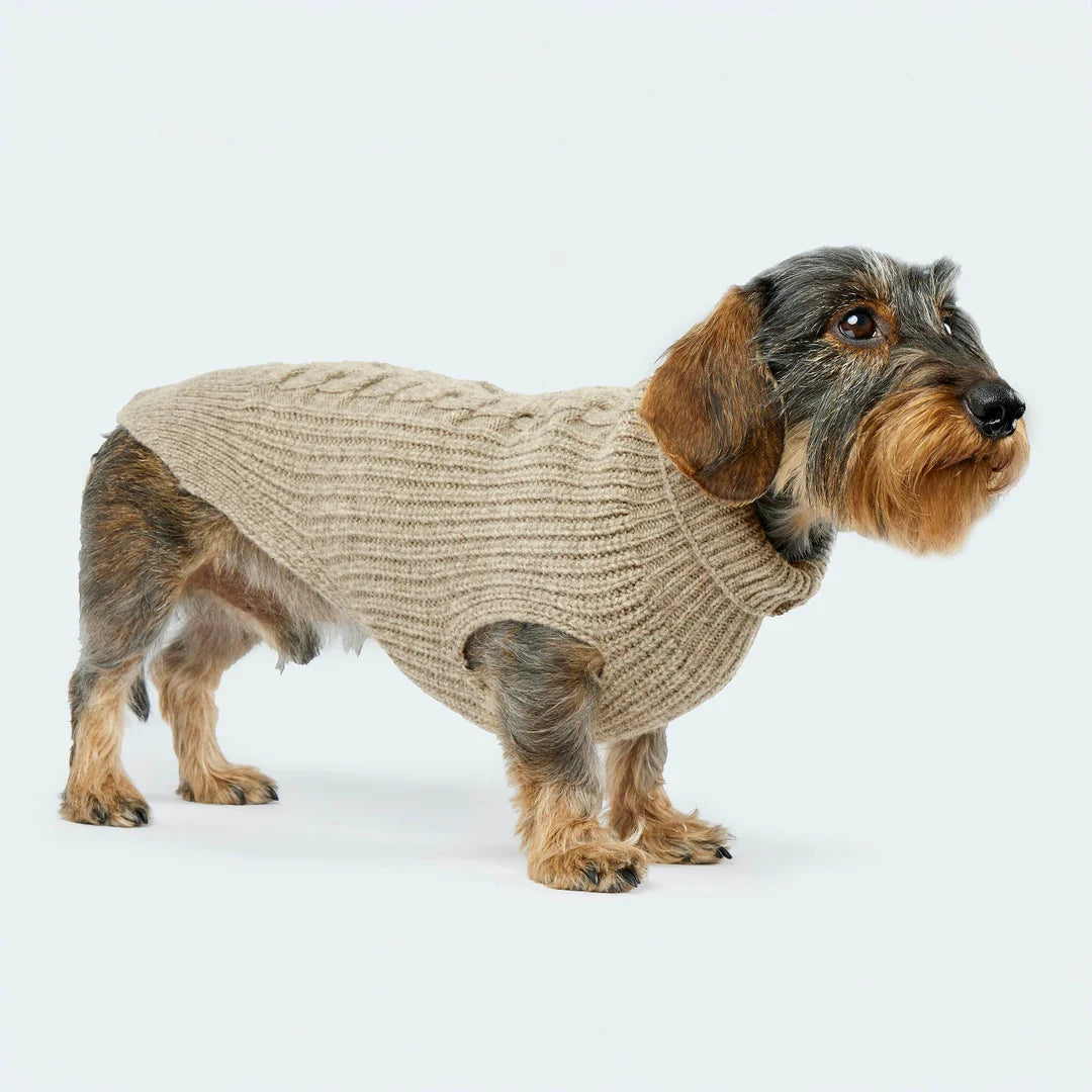 Hundestrickpullover Wolle (Merino)