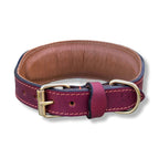 Lederhalsband Windhund Negev