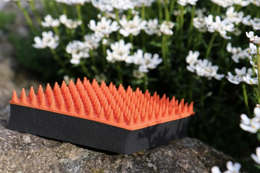Noppenbürste auf Stein vor Blumen