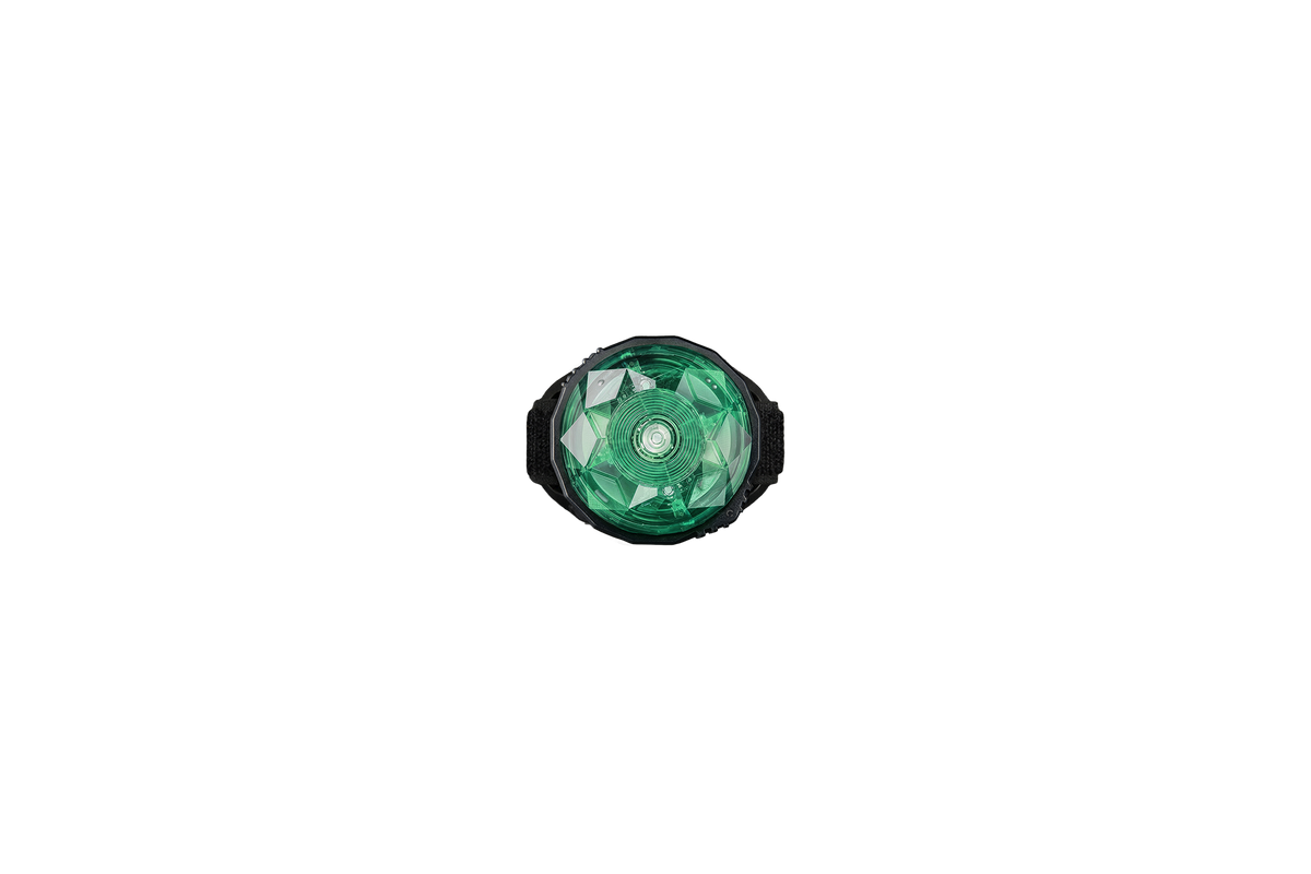 Orbiloc Dog Mini Mint