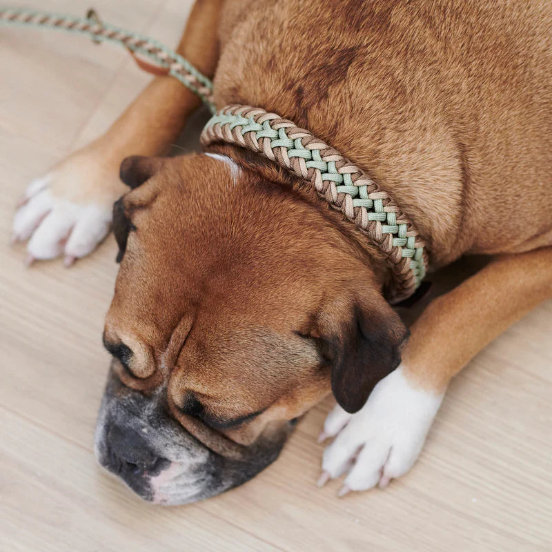 Paracord BioThane® Halsband Shire