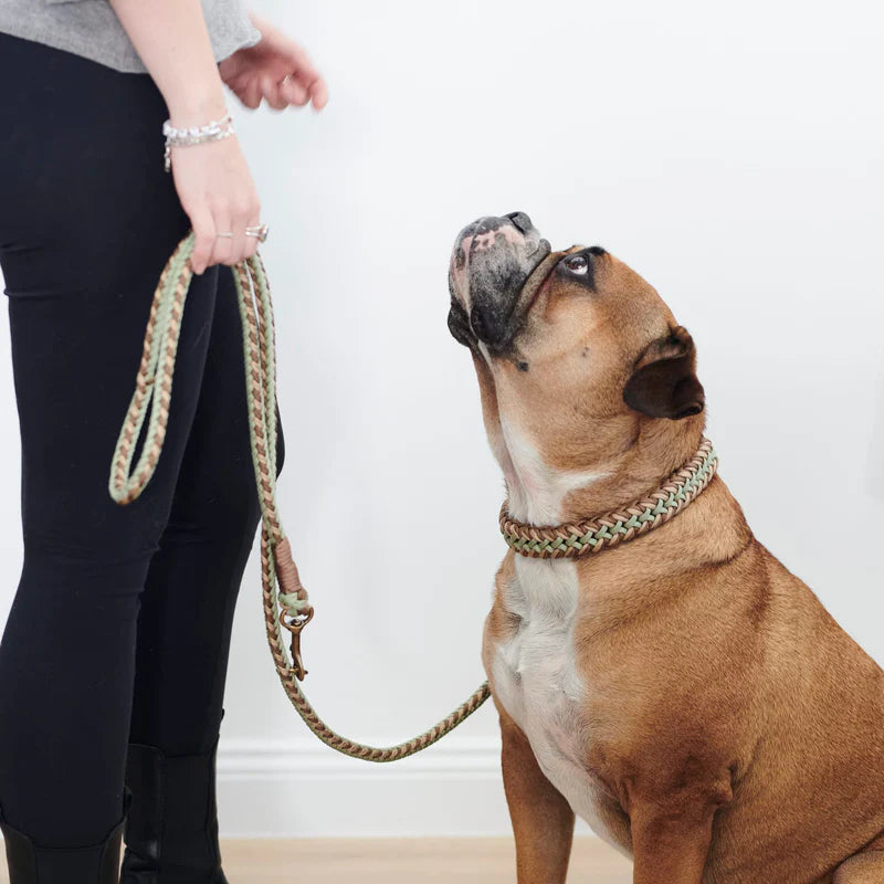 Paracord Leine Shire verstellbar