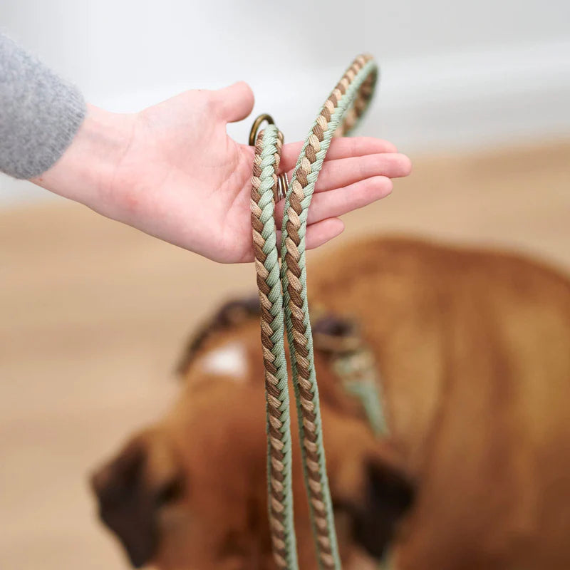 Paracord Leine Shire verstellbar