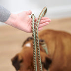 Paracord Leine Shire verstellbar