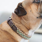 Paracord BioThane® Halsband Shire