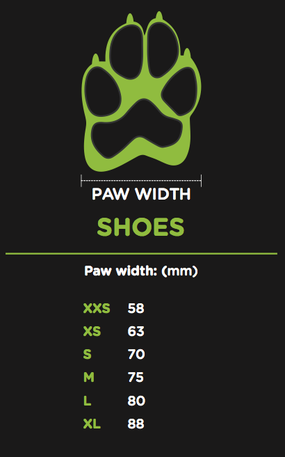 EQDOG 4 Season Shoes