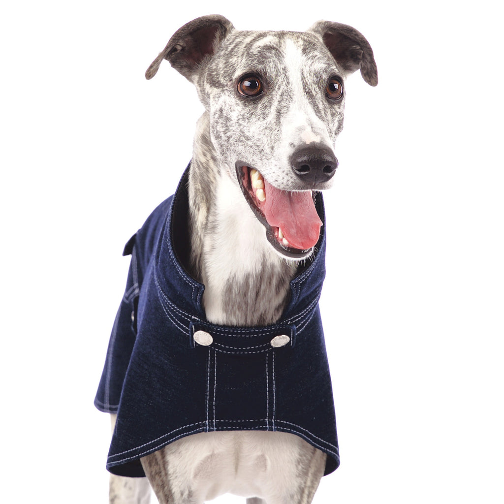 Samuel Jeans Light