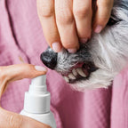 Tierliebhaber Dentalspray