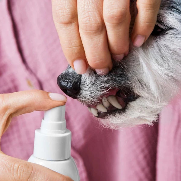 Tierliebhaber Dentalspray