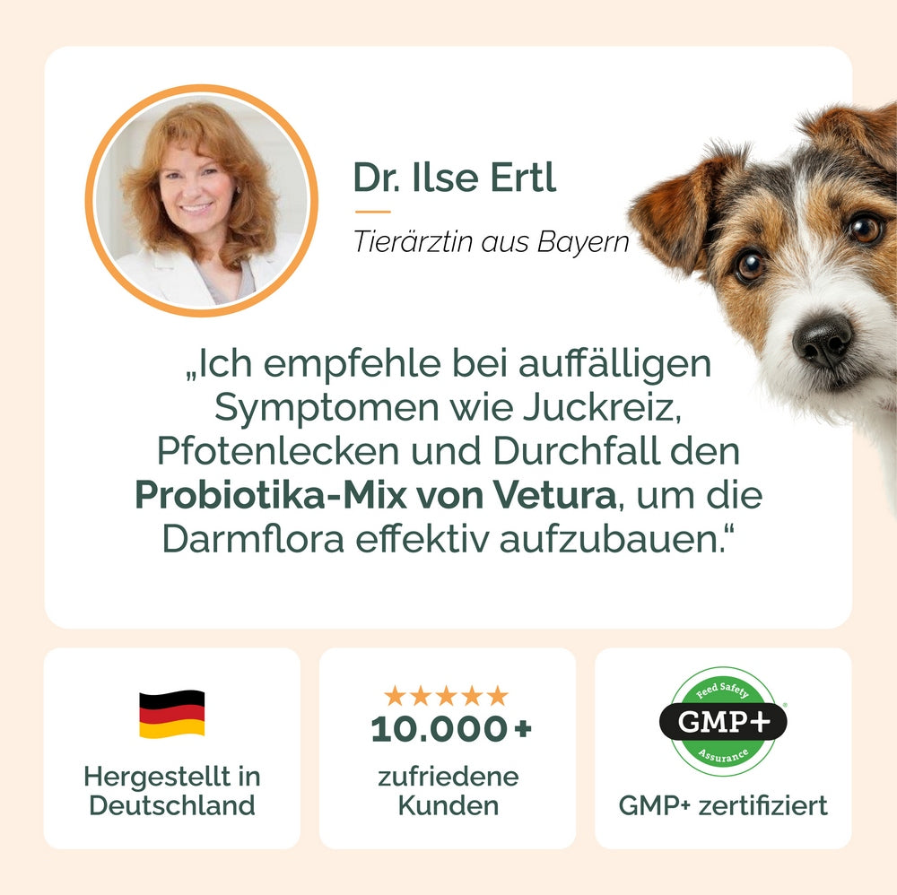 Probiotika-Mix für Hunde