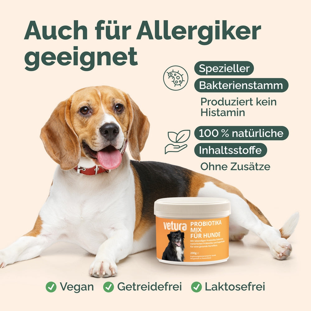 Probiotika-Mix für Hunde