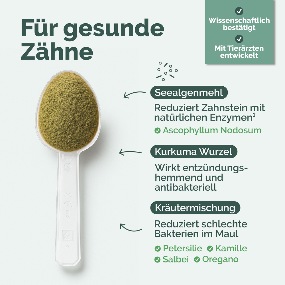 Zahn-Komplex für Hunde