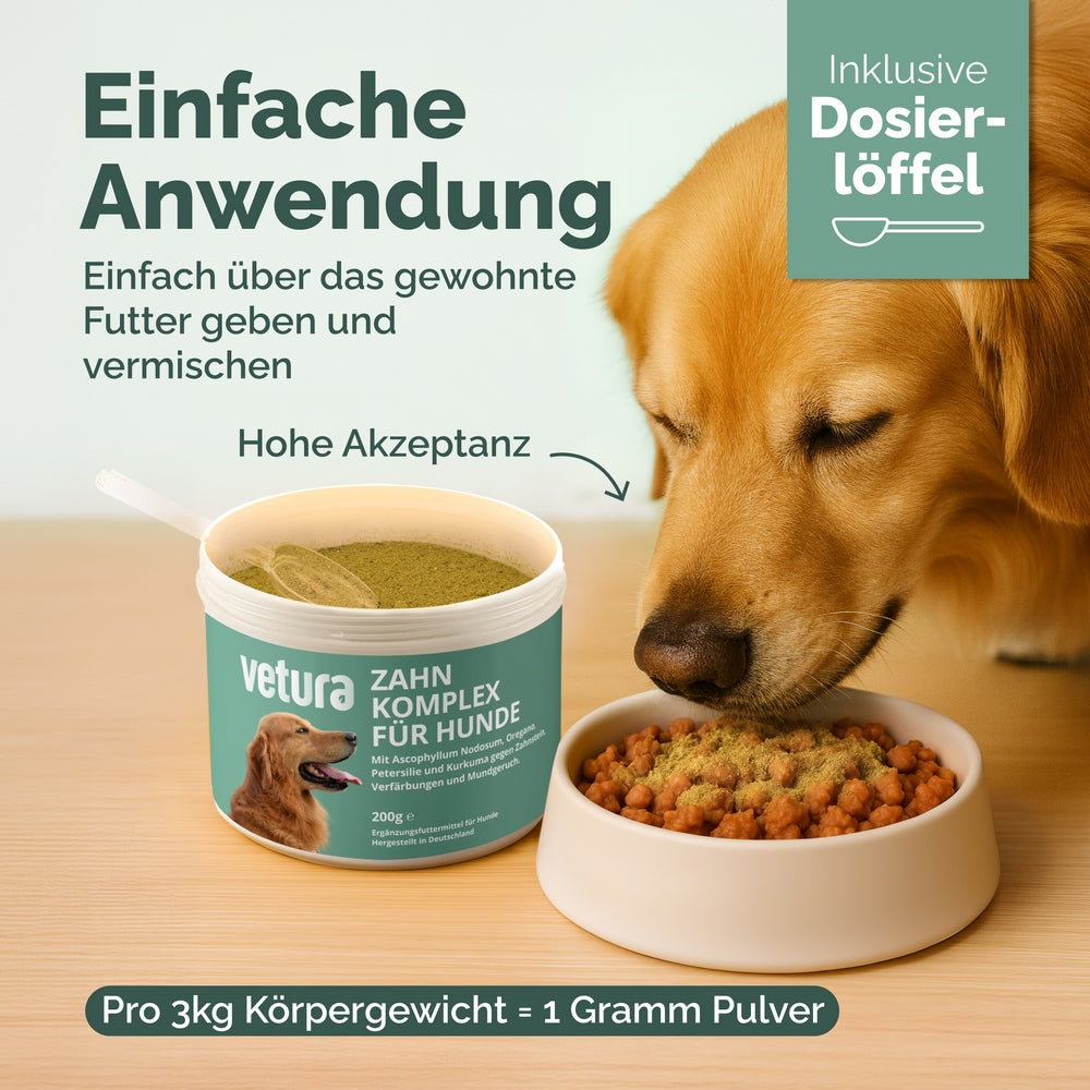Zahn-Komplex für Hunde