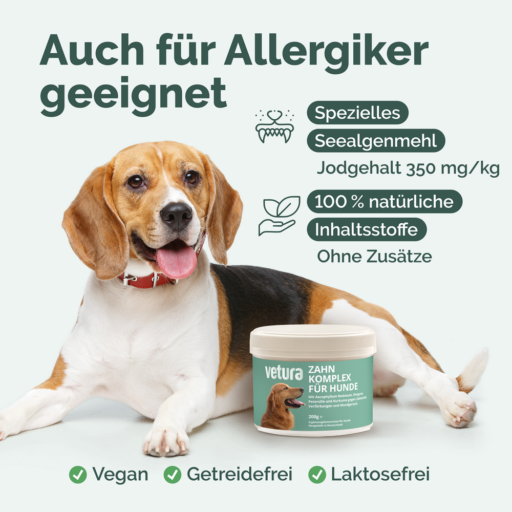 Zahn-Komplex für Hunde