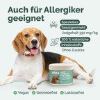 Zahn-Komplex für Hunde