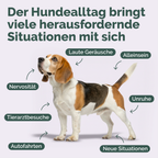 Beruhigungs-Formel für Hunde