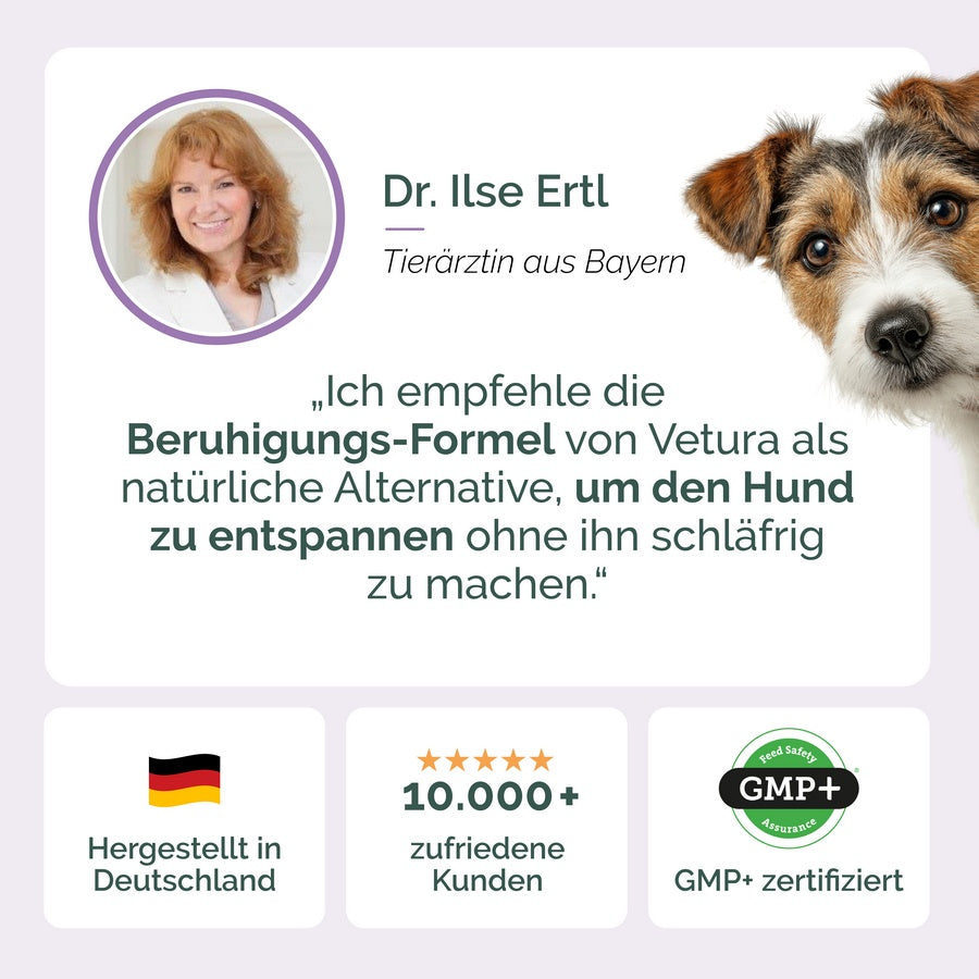 Beruhigungs-Formel für Hunde