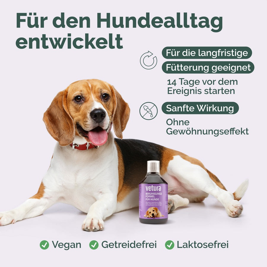 Beruhigungs-Formel für Hunde