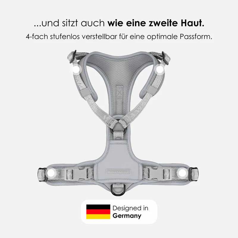 Apex Y-Geschirr Lunar