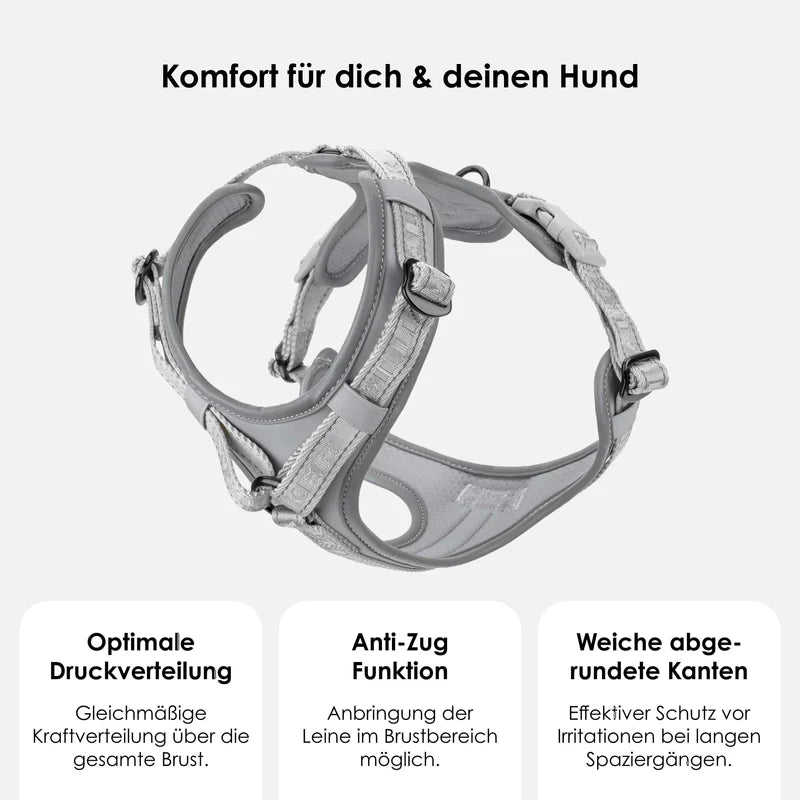Apex Y-Geschirr Lunar
