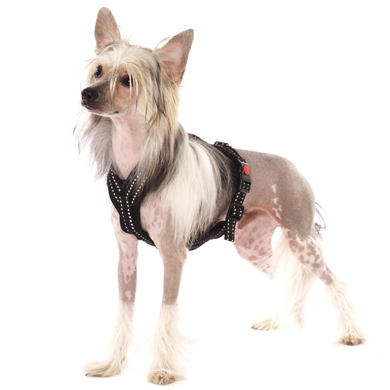 Sportgeschirr Y Reflex Small