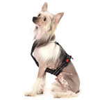 Sportgeschirr Y Reflex Small