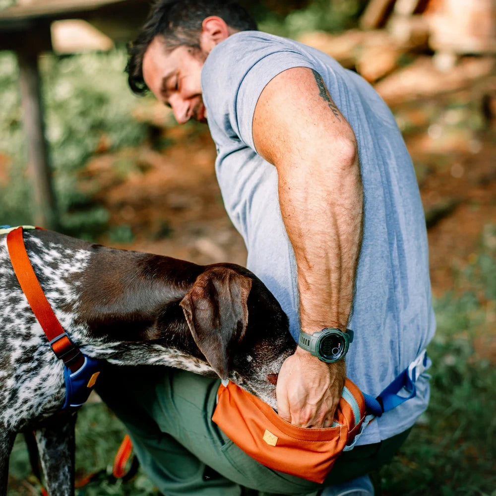 Woolly Wolf Alpha 360 Hip Pack