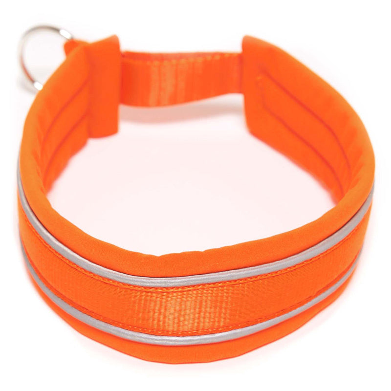 Zugstopphalsband NEON 20/45 mm Neon Orange S1