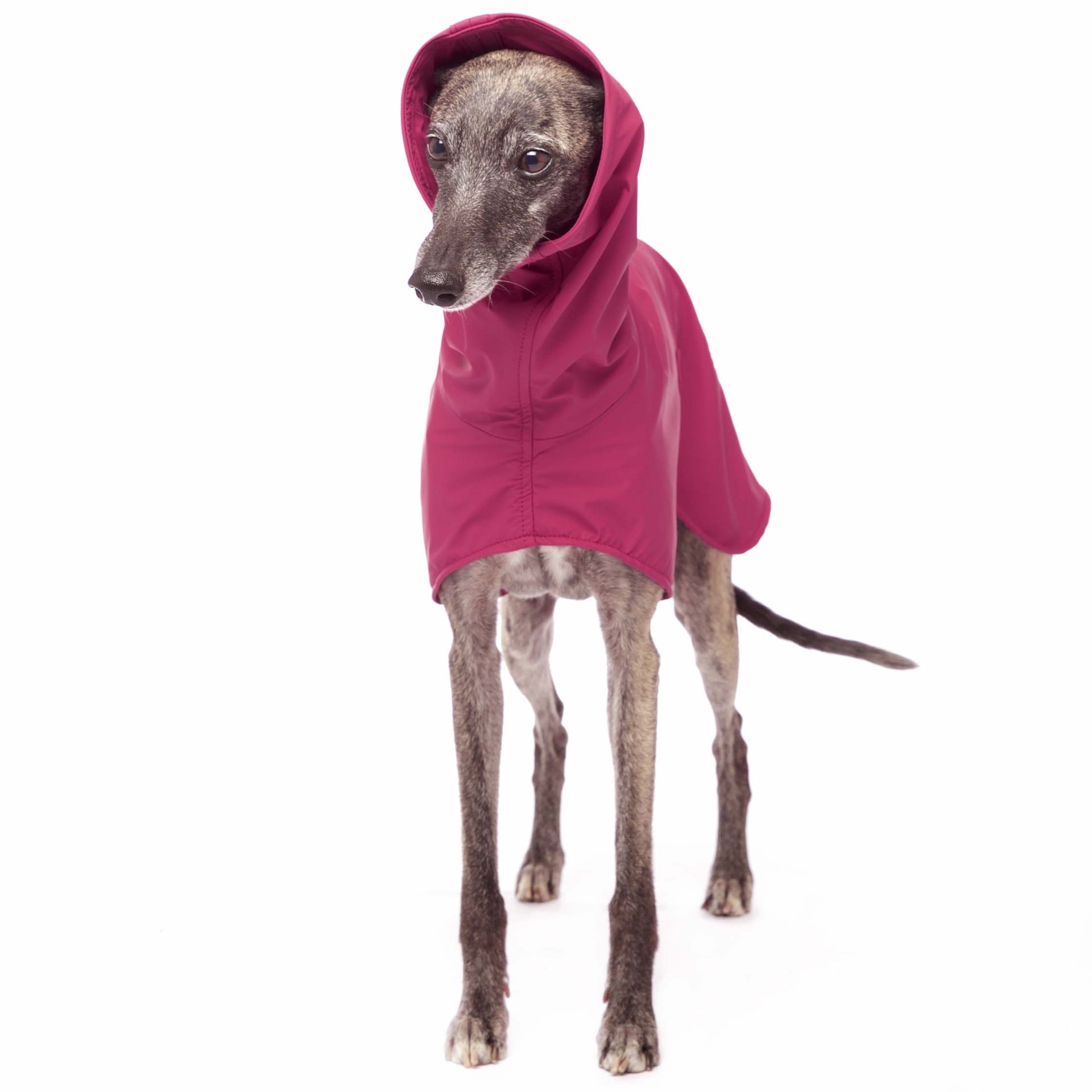 Michael EXTRARAIN Magenta L2