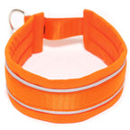 Zugstopphalsband NEON 25/55 mm Neon Orange S3