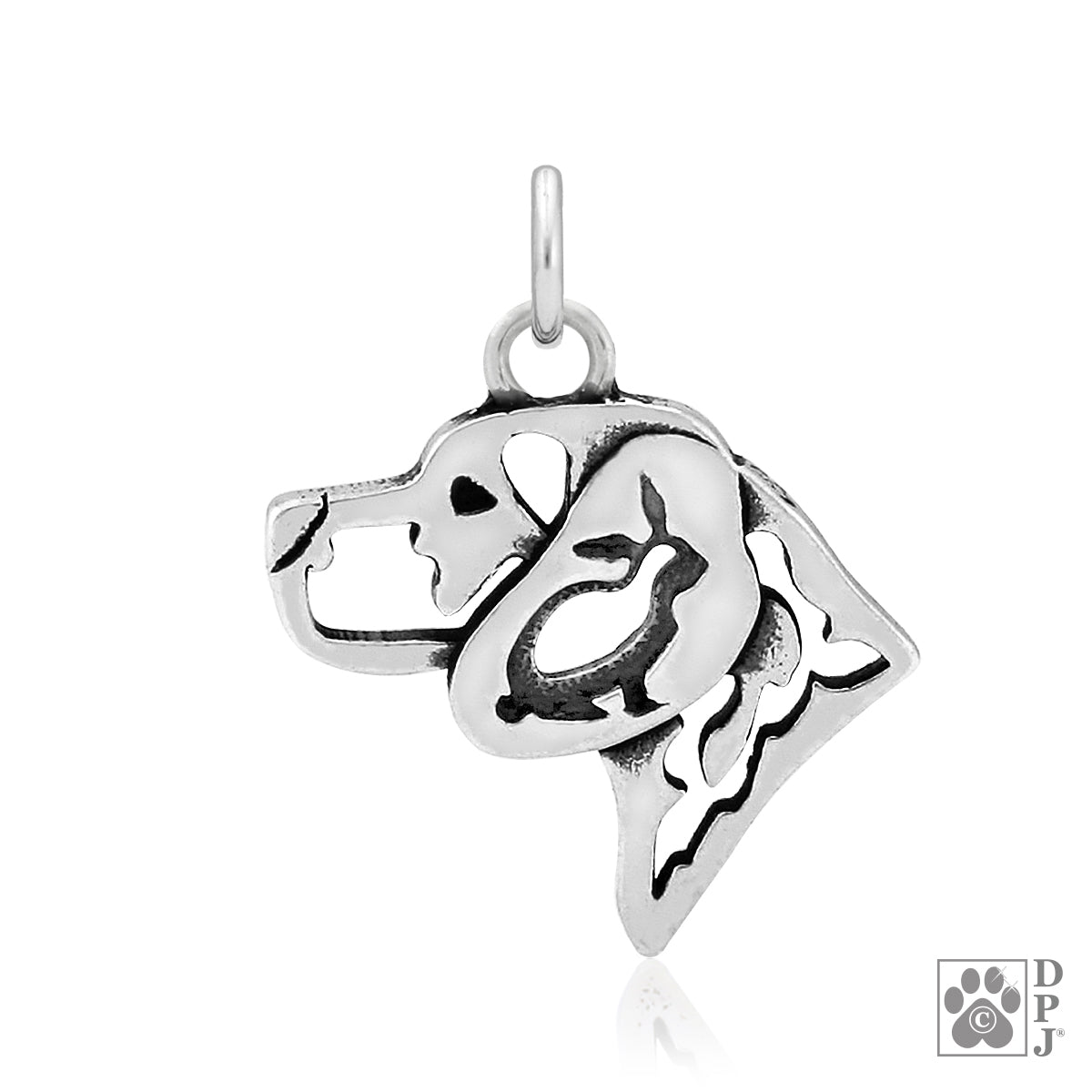 DPJ Beagle Kopf
