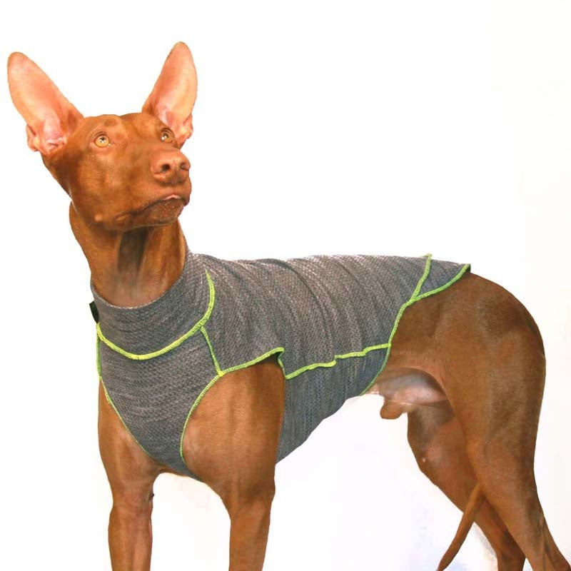 Quinto Grau/Gelb XS2 female