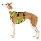 Sportgeschirr Y Double small Grau S1