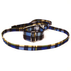 Martingal+Leine Set Colored Checkered L1