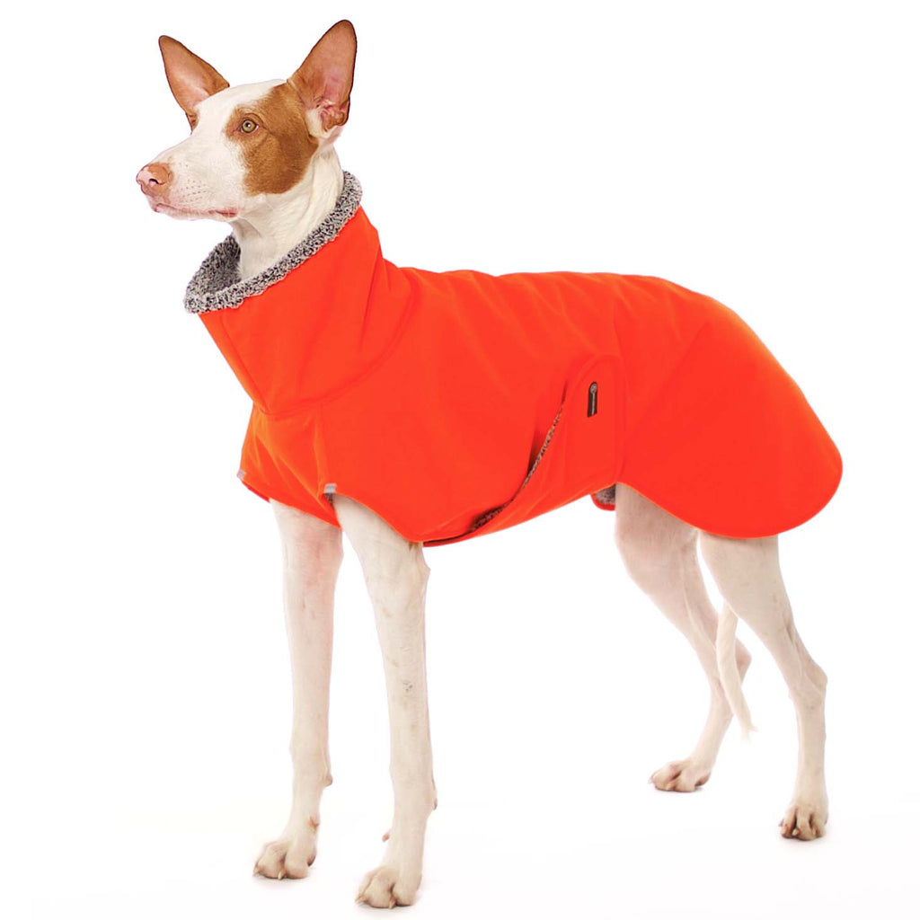 Hugo NEON Neon Orange S2