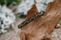 TKC Leopard Narrow 12"