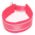 Zugstopphalsband NEON 25/55 mm Neon Rosa L1