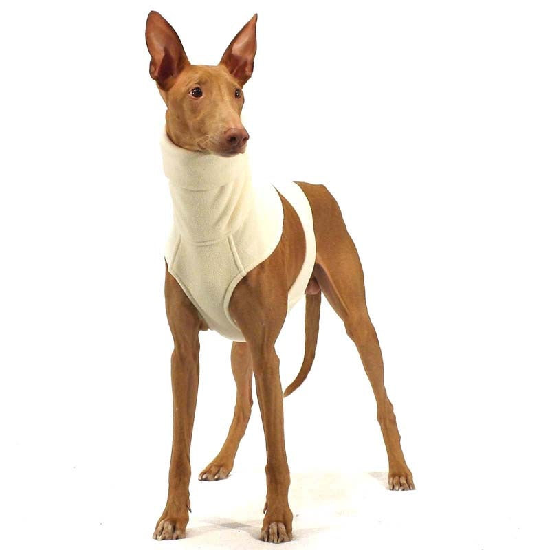 Goya Beige S2