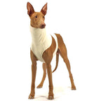 Goya Beige S2