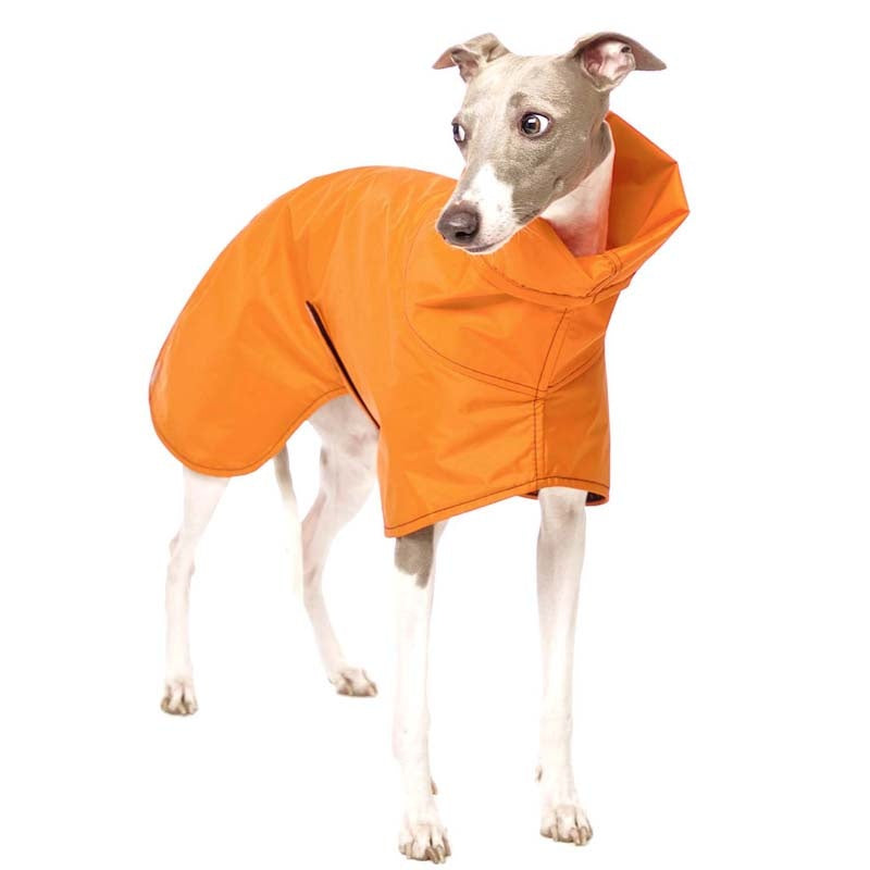 Michael B-RAIN Orange M2